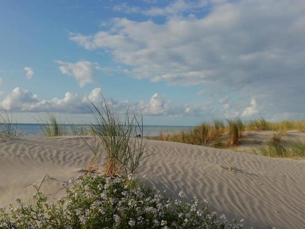 Superbe Apt Cosy, 50M De La Plage, 4 Pers, Vue Cote Mer Фор-Маон-Плаж Экстерьер фото